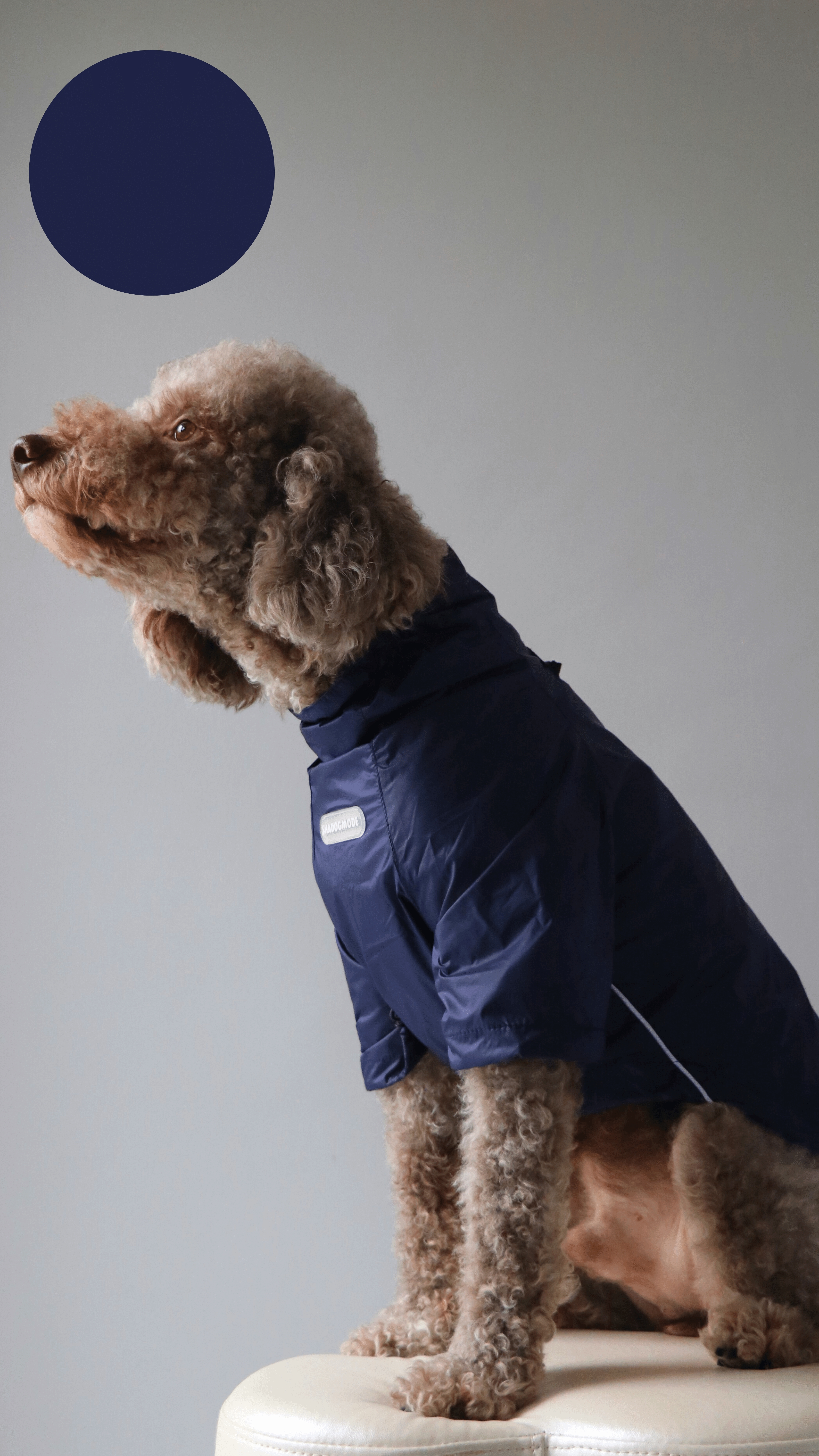 NAVYBLUE YAĞMURLUK